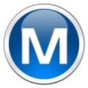 Microsoft Money icon