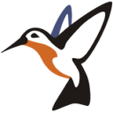 Embird Embroidery Software icon